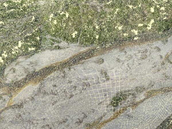 modelo lidar tomado con drones